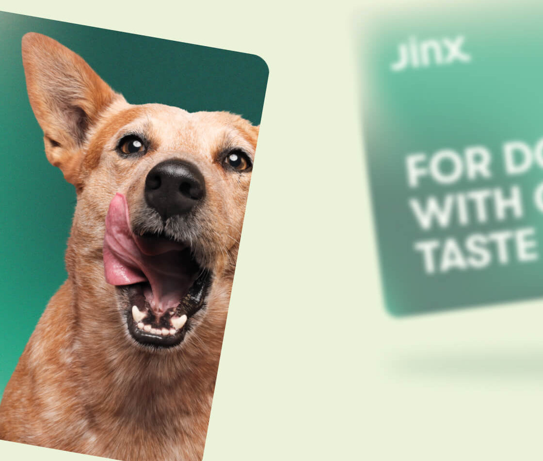Jinx E-Gift Card with a dog licking it's lips on one side and for dogs with good taste text on the other on a green background.