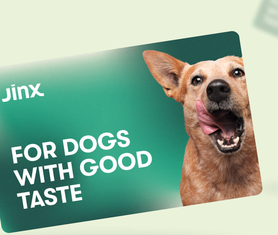 Jinx E-Gift Card with a dog licking it's lips on one side and for dogs with good taste text on the other on a green background.