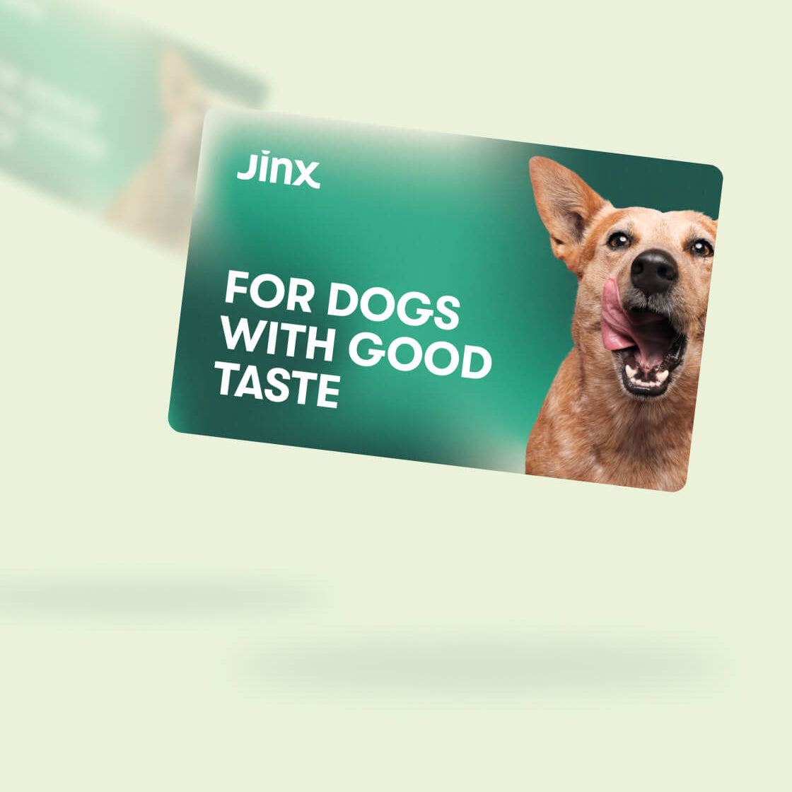 Jinx E-Gift Card with a dog licking it's lips on one side and for dogs with good taste text on the other on a green background.