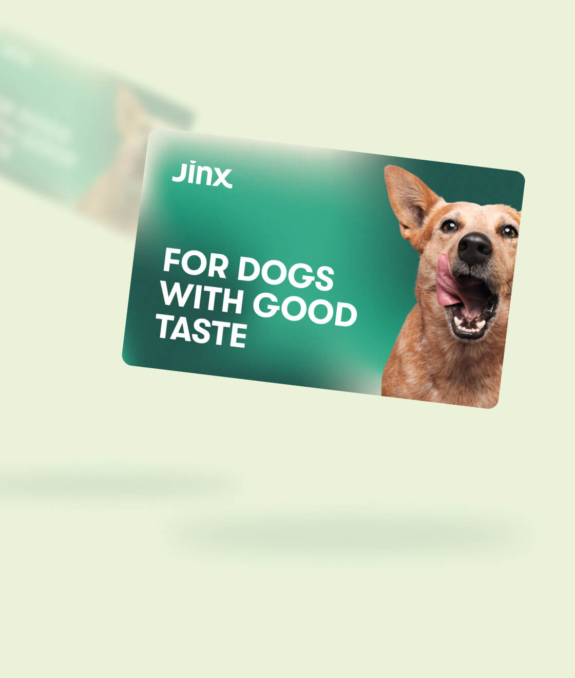 Jinx E-Gift Card with a dog licking it's lips on one side and for dogs with good taste text on the other on a green background.