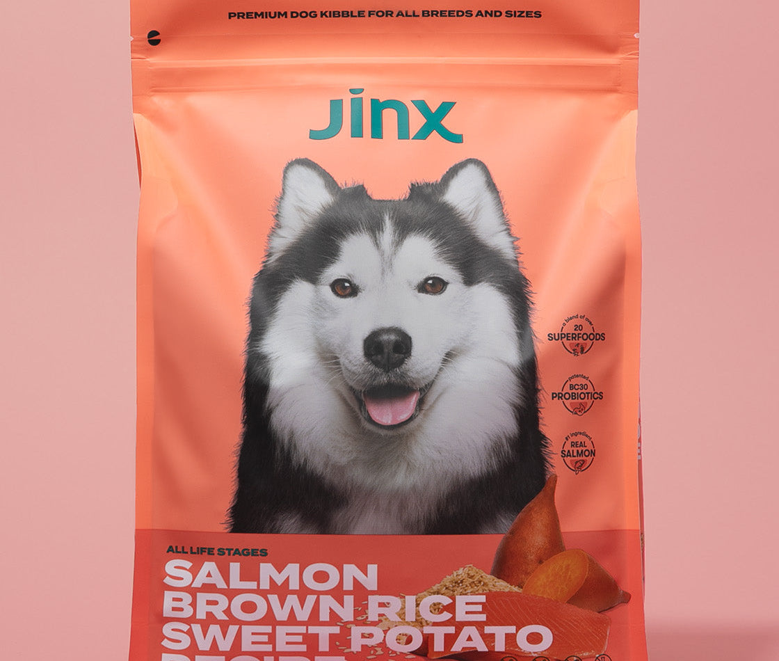 Salmon essentials Jinx bundle including Salmon, brown rice, sweet potato Jinx dog kibble product packaging on a pink background.