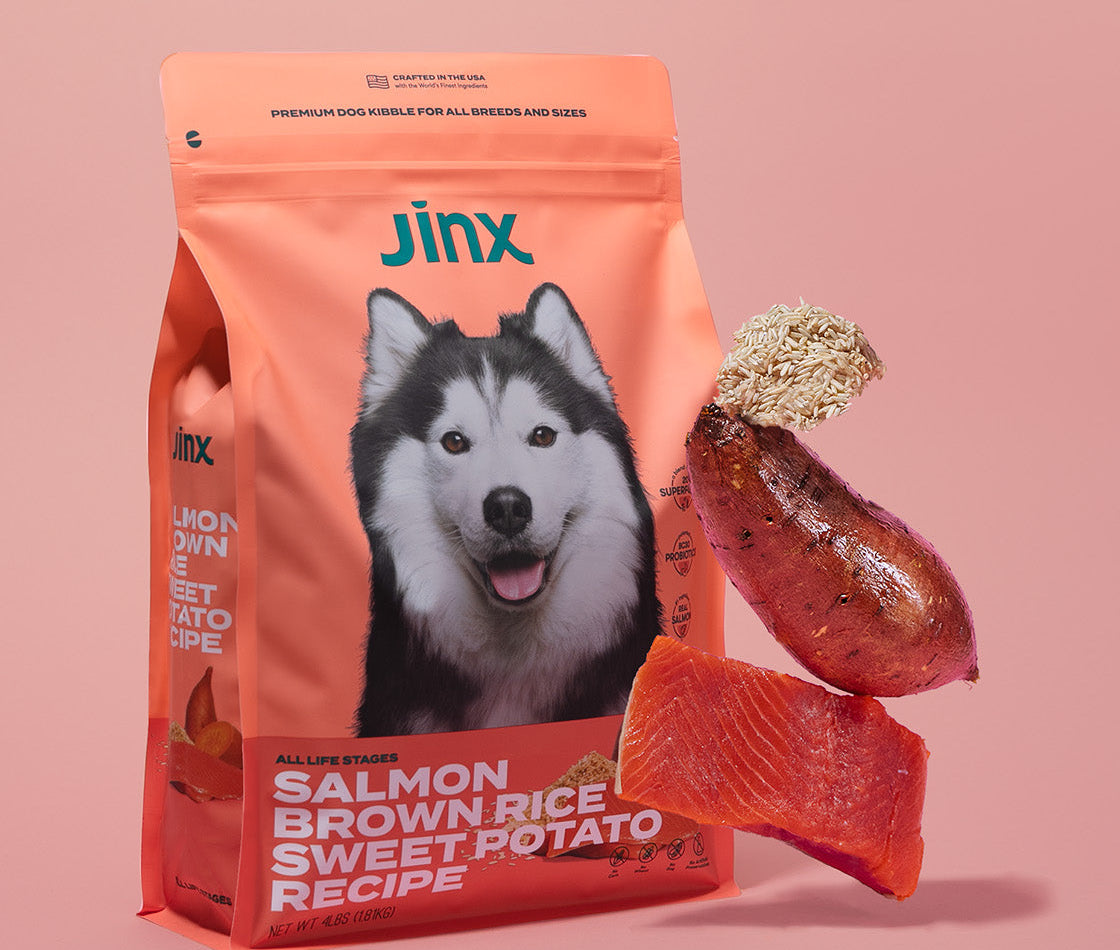 Salmon, brown rice and sweet potato Jinx dog kibble product packaging, with those ingredients hovering in front of it.